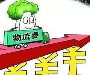 中国整木网