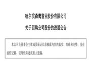 森鹰窗业斥资1999.8万元回购0.8%股份